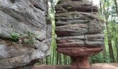 Tocht Stappen Münchweiler an der Rodalb - Pirmasens - Felsenwald - Photo 4