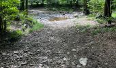 Trail Walking Jalhay -  Boucle de Charneux 17 Km  - Photo 3