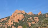 Trail Walking Saint-Raphaël - Pic du cap roux - Photo 1