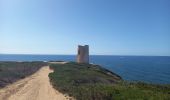 Tocht Stappen Santeru/San Vero Milis - Capo Mannu 25.9.23 - Photo 2