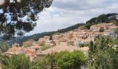 Tour Wandern Bormes-les-Mimosas - 20190521. Bormes les Mimosas  - Photo 1