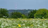 Randonnée A pied Gomadingen - Traufgang Wiesenrunde - Photo 10