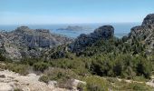 Trail Walking Marseille - Marseilleveyre-sommet-1105-22 - Photo 13