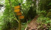 Tour Wandern Saint-Baudille-et-Pipet - Esclops Trièves le menil - Photo 1