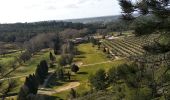 Excursión Senderismo Mouriès - caisses de jean jean/canal des baux - Photo 4