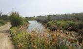 Trail Mountain bike Leucate - VTT Leucate La Palme  - Photo 5