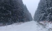 Trail Walking Spa - entre fagne et bois - version courte - Photo 4