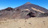 Percorso Marcia Guía de Isora - Pico Viero Sur - Photo 3