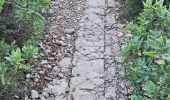 Randonnée Marche La Farlède - Petit Coudon en partant de La Farlède - Photo 2