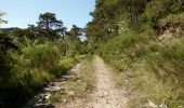 Trail Walking Eygluy-Escoulin - Le Taillefer - Escoulin-18969835 - Photo 19
