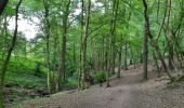 Tocht Stappen Thuin - Thuin Belgique - Photo 3