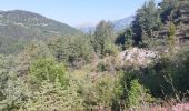 Trail Walking Enchastrayes - L'AUPILLON DEPUIS LE CAMPING 