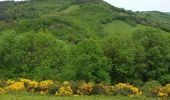 Trail Walking Saint-Pierre-de-Trivisy - Le Garriguet Saint Pierre de Trivisy - Photo 15