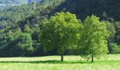 Tour Zu Fuß Taceno - Tartavalle Terme-Parlasco-Passo Agueglio-Sasso di San Defendente - Photo 6