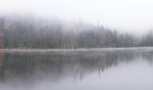 Tocht Te voet Spiegelau - Hauptwanderweg (Nationalpark Bayerischer Wald) - Photo 9