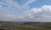 Tocht Stappen Nasbinals - Nasbinal St Chély d'Aubrac - Photo 10