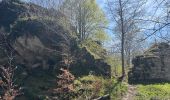 Percorso  Oberhaslach - Camping de luttenbach châteaux  - Photo 5