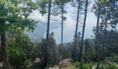 Trail Walking Levanto - Monte Focone 9.5.23 - Photo 4