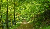 Trail Walking Liège - A la découverte du Sart-Tilman 🥾 - Photo 3