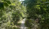 Trail Walking Baratier - tour d Embrun et son plan d eau - Photo 8
