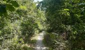 Tocht Stappen Baratier - tour d Embrun et son plan d eau - Photo 8