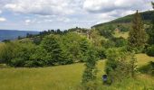 Tocht Stappen Belmont - Champ du feu - Col de la Charbonnière - Belmont  - Photo 3