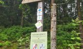 Trail Walking Bad Peterstal-Griesbach - Buhlbachsee & Lotharpfad - Photo 3