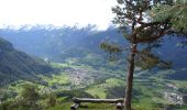 Trail On foot Tesero - Sentiero forestale Cucal - Photo 2