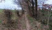 Trail Walking Aywaille - balade autour de la fetme de warnoumont  - Photo 6