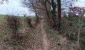 Excursión Senderismo Aywaille - balade autour de la fetme de warnoumont  - Photo 6