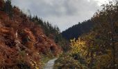 Tour Wandern Malmedy - malmedy . ferme libert .  tro maret . ferme libert . malmedy par les crêtes  - Photo 14