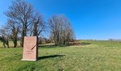 Tour Wandern Sulz unterm Wald - Le sentier des cimes depuis Soultz - Photo 11