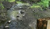 Tour Wandern Pleudihen-sur-Rance - 12.05.2019 - Mordreuc.... - Photo 2