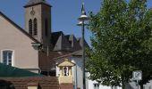 Percorso A piedi Clausen - Wandern in Clausen C3 Kuhfelsen - Photo 7