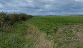 Randonnée A pied King's Lynn and West Norfolk - Brancaster Circular Walk - Photo 2