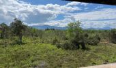 Tocht Stappen Seekirchen am Wallersee - Le tour du Wallersee - Photo 13