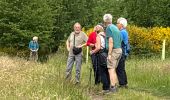 Trail Walking Saint-Hubert - Awenne - Photo 4