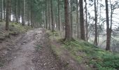 Trail Walking Sprimont - banneux . rougethier . nanneaux - Photo 2