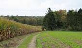 Trail On foot Dinant - Promenade les Cascatelles - Photo 5