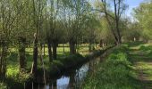 Tocht Stappen Graven - RL-GG-21 - Pécrot - Genval - 2025-03-15 - Photo 3