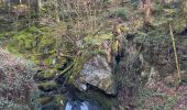 Tocht Stappen Girmont-Val-d'Ajol - Les étangs de Girmont et le prieuré d’Herival - Photo 2