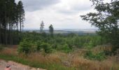 Percorso A piedi Rheinböllen - Natur-Erlebnisweg Schinderhannes - Photo 3