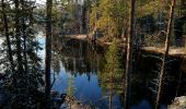 Percorso A piedi Kuusamo - Oulangan erämaareitti (Talvireitti) - Photo 1