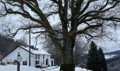 Randonnée Marche Stoumont -  Neucy , bergerie de la Lienne 13 Km - Photo 6