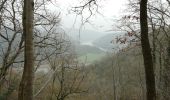 Trail Walking Dinant - Lesse toi surprendre (Dinant)  - Photo 5