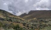 Tour Wandern Tocachi - Lagunas de Mojanda - Photo 10