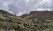 Excursión Senderismo Tocachi - Lagunas de Mojanda - Photo 10