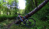 Trail Mountain bike Le Grand-Bornand - vtt-dans-la-vallee-du-bouchet - Photo 4