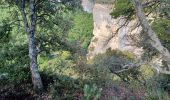 Randonnée Marche Buoux - APT,  Buous , circuit d Aigue Brun o l  - Photo 4