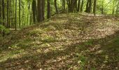 Percorso A piedi Neukirchen bei Sulzbach-Rosenberg - Rundwanderweg No.6 Neukirchen - Photo 1